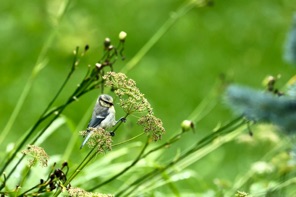 IMG_7430.jpeg